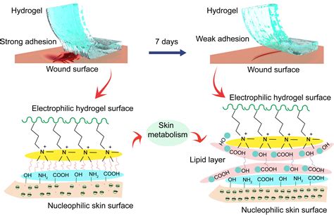 Improving interfacial adhesion and mechanical  .